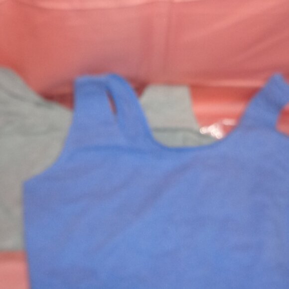 BRAND NEW FRUIT OF THE LOOM 2 PAK SPORTS BRAS-GRAY AND BLUE-SZ LARGE/TALLA 42 - Picture 1 of 4